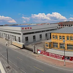 Company Profile
